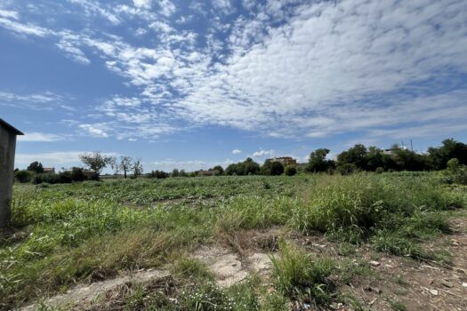 CAVARZERE: 105E: TERRENO AGRICOLO