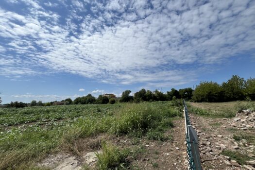 CAVARZERE: 105E: TERRENO AGRICOLO