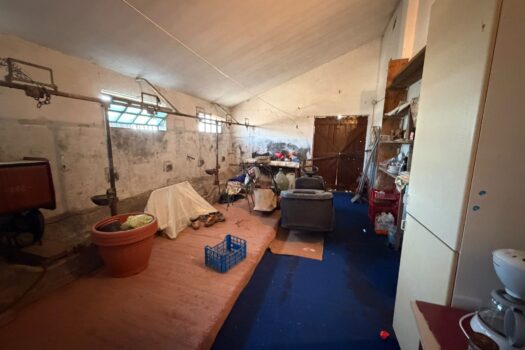 CAVARZERE: 128B: CASA SINGOLA CON SCOPERTO